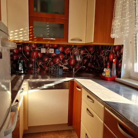 Apartment Maca Bled Kültér fotó